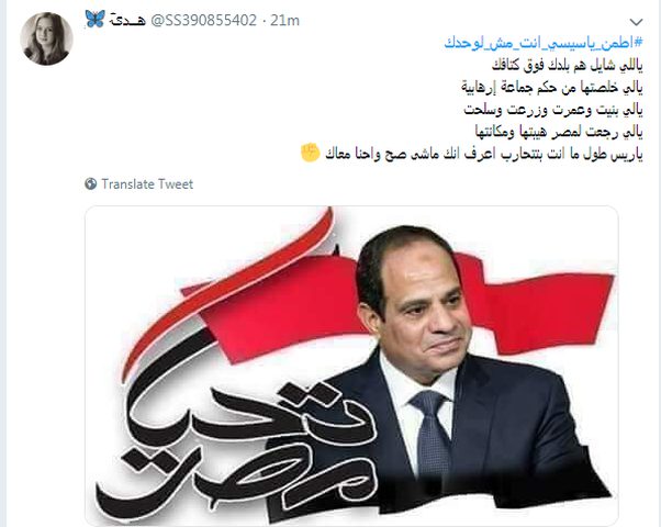 "اطمئن يا سيسي انت مش لوحدك" يتصدّر تويتر