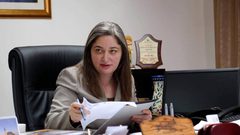معايعة والقنصل البريطاني يبحثان التعاون في المجال السياحي