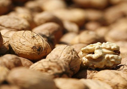 الجوز يساهم في تخفيض الوزن بالتأثير في الدماغ