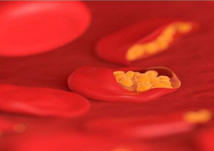 اكتشاف زمرة الدم التي تحمي أصحابها من الملاريا