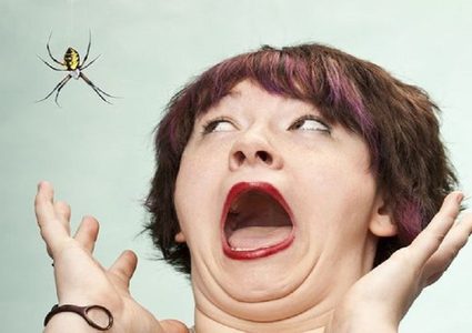 7 ثوان من "سبايدرمان" تعالج رهاب العناكب!