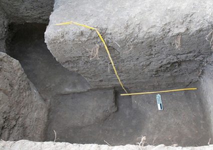 العثور على آثار حضارة قديمة مزدهرة في الأمازون