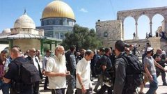 2230 مستوطنا اقتحموا الأقصى المبارك