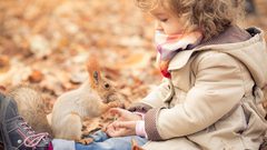 دراسة: التطعيمات لا تعالج الأطفال من حساسية الفول االسوداني