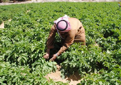 وزير الزراعة: أعددنا خطة شاملة لثلاثة أشهر لتعزيز صمود المزارعين