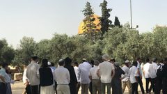 مستوطنون يستأنفون اقتحامهم للمسجد الأقصى