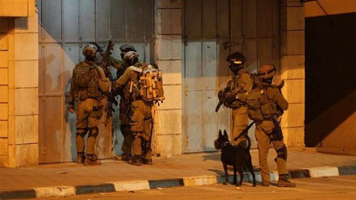 قوات الاحتلال تعتقل 14 مواطنًا