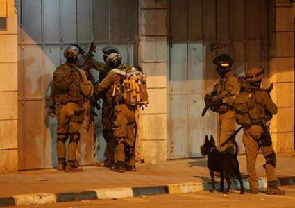 قوات الاحتلال تعتقل 14 مواطنًا