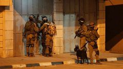 قوات الاحتلال تعتقل 14 مواطنًا