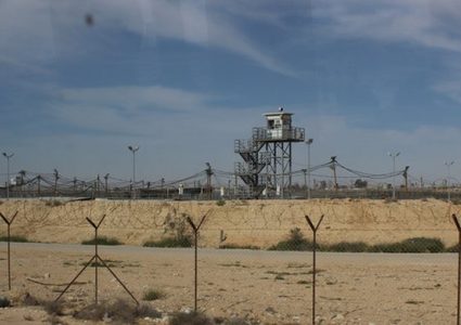 الصراصير تغزو أقسام الأسرى بسجن النقب الصحراوي