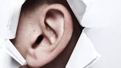 ما هي الخلايا التي تتحكم في السمع داخل الأذن؟