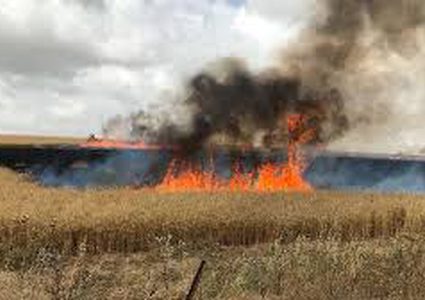 الاحتلال يزعم اندلاع حريق في مستوطنة "شاعر هنيغف"المحاذية للقطاع