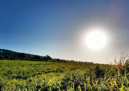 حالة الطقس: أجواء حارة وجافة اليوم وغدا