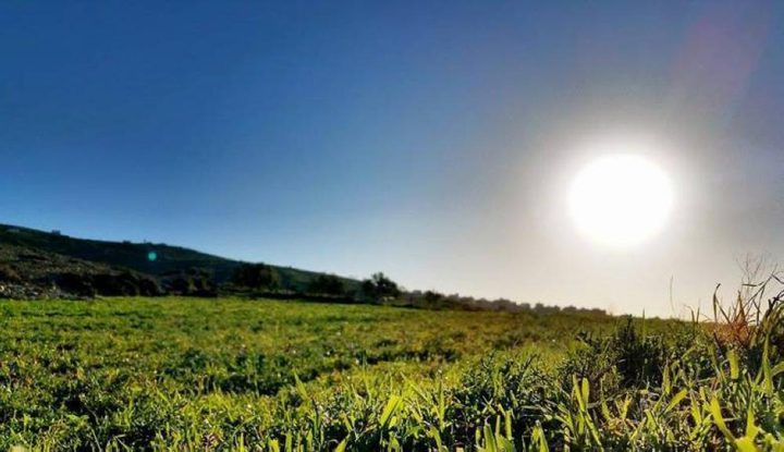 حالة الطقس: أجواء حارة وجافة اليوم وغدا