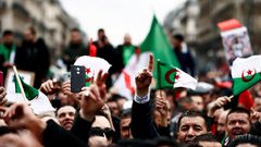 قائد الجيش الجزائري: الانتخابات الرئاسية هي "الحل الأمثل"