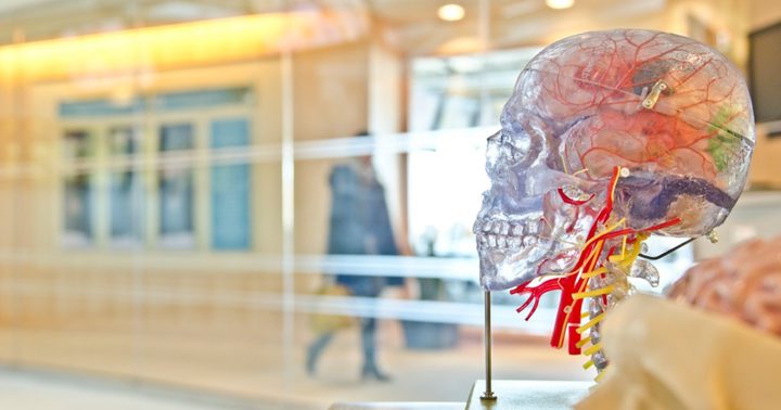 تقنية إصلاح الجينات يمكن أن تحسن اختلال وظائف المخ لدى البالغين