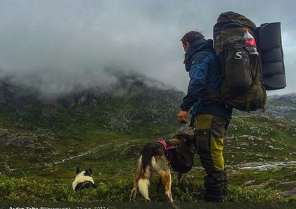 نرويجي هجر المدينة ليؤسس حياة جديدة مع 100 كلب! (فيديو)