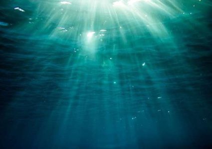 اكتشاف 200 ألف فيروس مجهول مختبئة في أعماق المحيطات