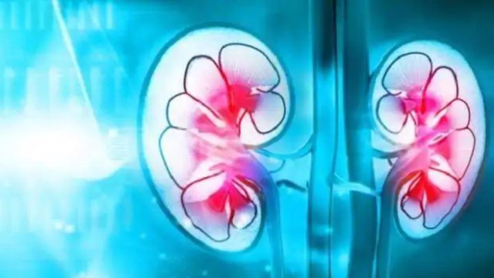 دراسة: سرطان الكلى يهدد الأطفال البدناء طوال القامة