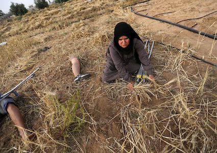 صهيب قديح 33 عامًا ، وأخته نزيهة قديح 38 عامًا ، فقدا ساقيهما بعد إطلاق النار عليهما من قبل قوات الاحتلال الإسرائيلي خلال  مسيرات العودة الأسبوعية، في حصاد محصول القمح في حقلهما ، في خان يونس جنوب قطاع غزة .