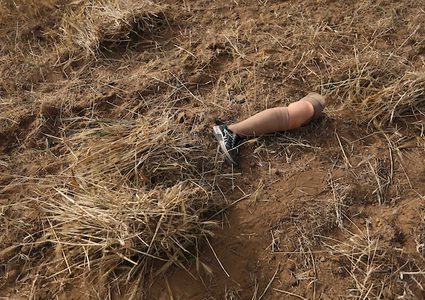 صهيب قديح 33 عامًا ، وأخته نزيهة قديح 38 عامًا ، فقدا ساقيهما بعد إطلاق النار عليهما من قبل قوات الاحتلال الإسرائيلي خلال  مسيرات العودة الأسبوعية، في حصاد محصول القمح في حقلهما ، في خان يونس جنوب قطاع غزة .