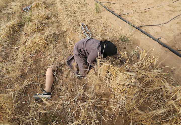 صهيب قديح 33 عامًا ، وأخته نزيهة قديح 38 عامًا ، فقدا ساقيهما بعد إطلاق النار عليهما من قبل قوات الاحتلال الإسرائيلي خلال  مسيرات العودة الأسبوعية، في حصاد محصول القمح في حقلهما ، في خان يونس جنوب قطاع غزة .