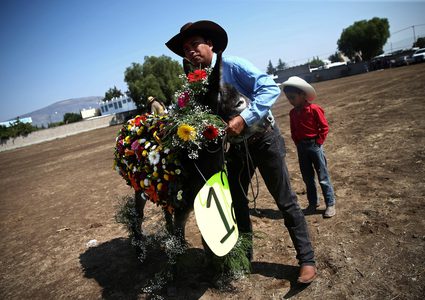 بالصور.. بلدة مكسيكية تحتفي بالحمير لهذه الاسباب