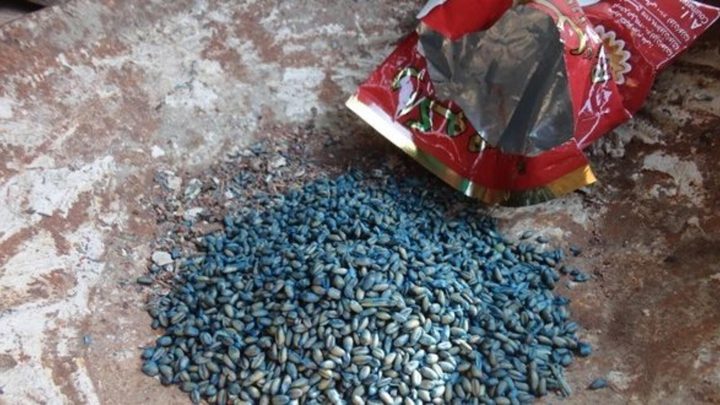 "الحبة السامة" طريقة جديدة وسهلة للانتحار بين شباب وفتيات مصر!