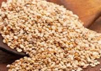 فوائد السمسم للعظام