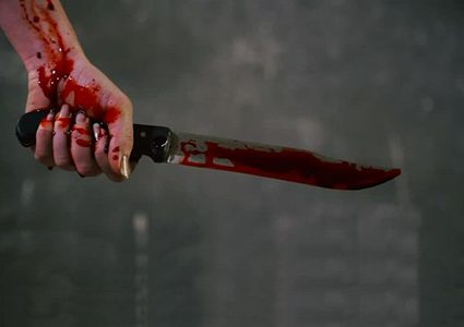 تفاصيل جريمة قتل سيدة بـ 24 طعنة