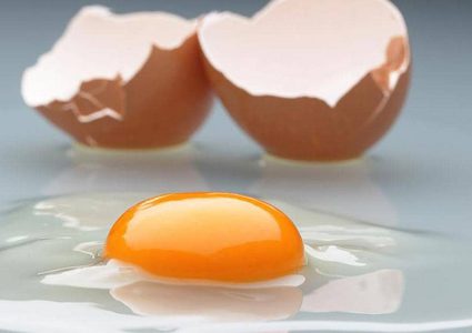 البيض وقوة النظر.. دراسة تكشف "النفع الكبير"