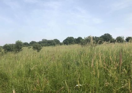 أجواء لطيفة وانخفاض ملموس على الحرارة