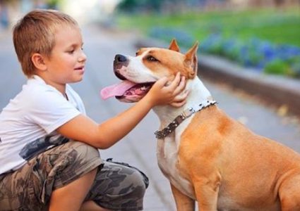 5 أمراض تنتقل من الحيوانات للإنسان