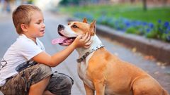 5 أمراض تنتقل من الحيوانات للإنسان