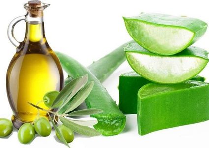 الألوفيرا وزيت الزيتون لعلاج جفاف الجلد حول الأظافر