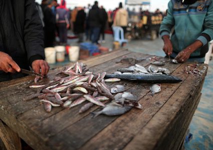 الاحتلال يحرم الغزيين من "وجبة سمك طازه " في رمضان