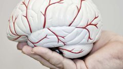 اكتشاف الدواء الاول من نوعه لعلاج الاطفال المصابين بسرطان الدماغ