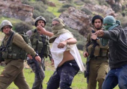 "الوطني للدفاع عن الأرض": تصاعد جرائم المستوطنين خلال أسبوع