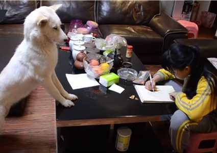 صينى يدرب كلبا على مراقبة ابنته أثناء أداء واجبها المدرسى