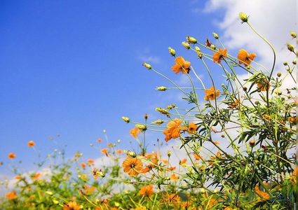 حالة الطقس: أجواء حارة نسبيا