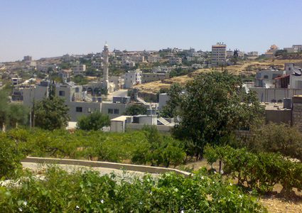 الخليل : وقفة منددة بالاعتداء على فتاة من ذوي الاحتياجات الخاصة