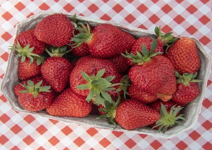 الفراولة تساعد على منع الإصابة بسرطان المريء