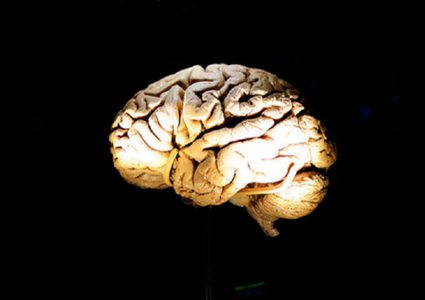 المواد الغذائية الغنية باللوتين ضرورية لصحة الدماغ