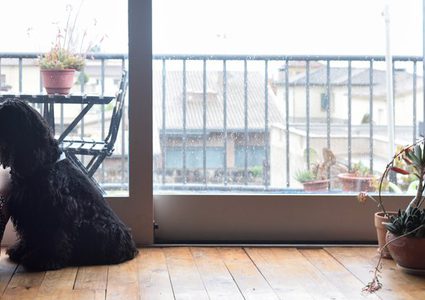 العالم ليس مكاناً سعيداً للكثيرين بحسب هذا الاستطلاع