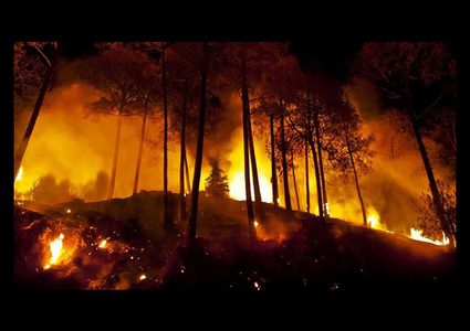 احتراق عشرات الدونمات الرعوية في الأغوار بسبب تدريبات الاحتلال