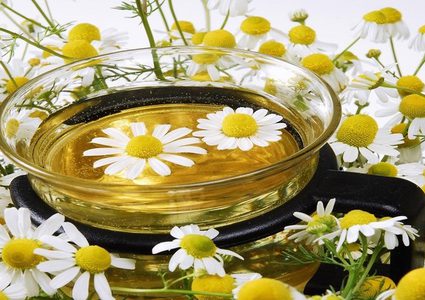 منقوع البابونج فعال في تخفيض مستوى السكر في الدم