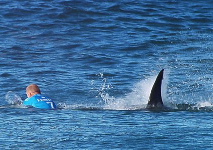 قرش تمزق ساق راكب أمواج حتى الموت!