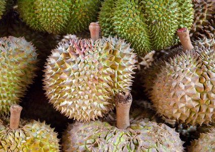 "ملك الفواكه" يؤدي إلى إخلاء مكتبة جامعة أسترالية!