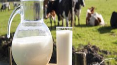 ما الفرق بين حليب الماعز وحليب البقر؟