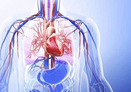 4 مراحل يمر بها جسم الإنسان خلال شهر الصيام.. تعرفوا عليها!